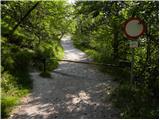 Briše - Polhograjska Gora (Sveti Lovrenc)